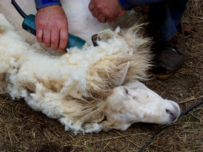 Inés Heredia Castro 100_6166