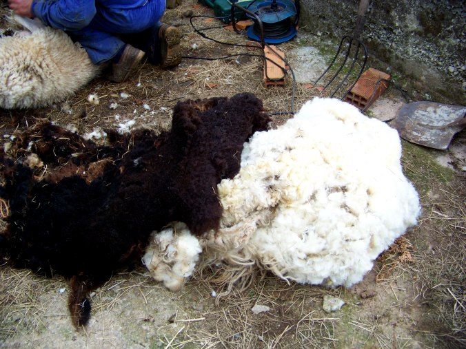 Inés Heredia Castro 100_6177