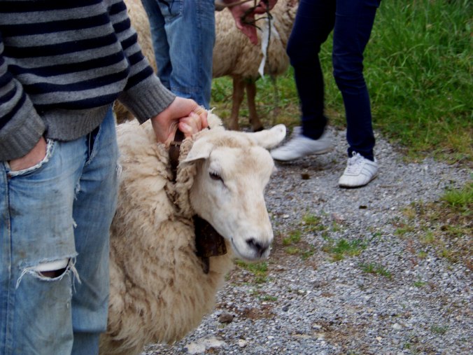 Inés Heredia Castro 100_6189