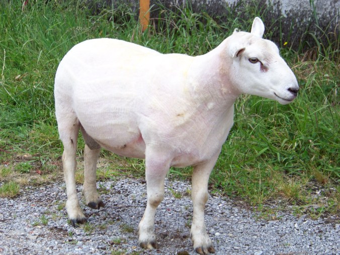 Inés Heredia Castro 100_6195