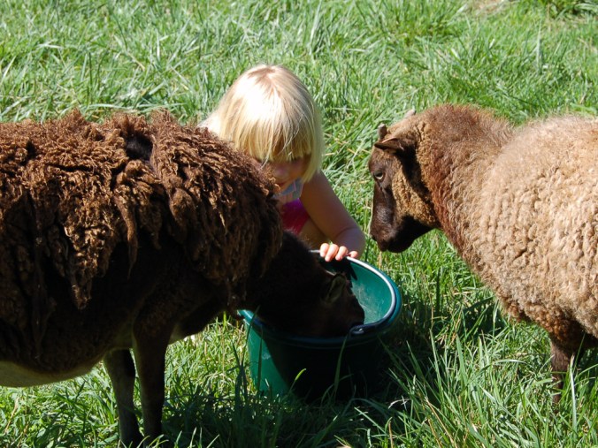 ArnoldVisit 010-v3-kfr3