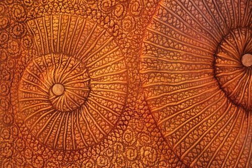 6a00d8341c901053ef014e8a9f5ac2970d-500wi