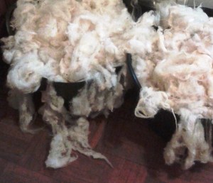 20150205_200623 - copia